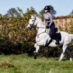 Understanding Horse Public Liability Insurance For Horse Riders